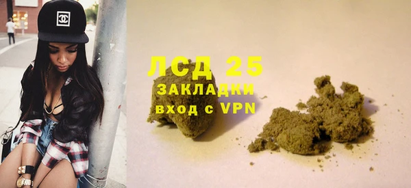 крисы Алексин