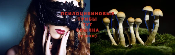 героин Алзамай
