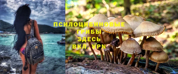 крисы Алексин