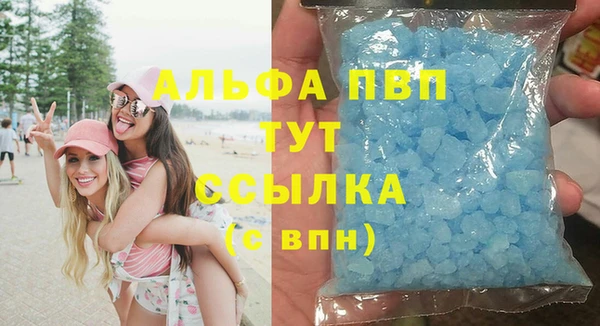 крисы Алексин