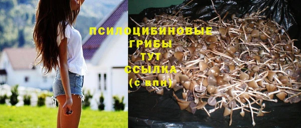 mix Алексеевка