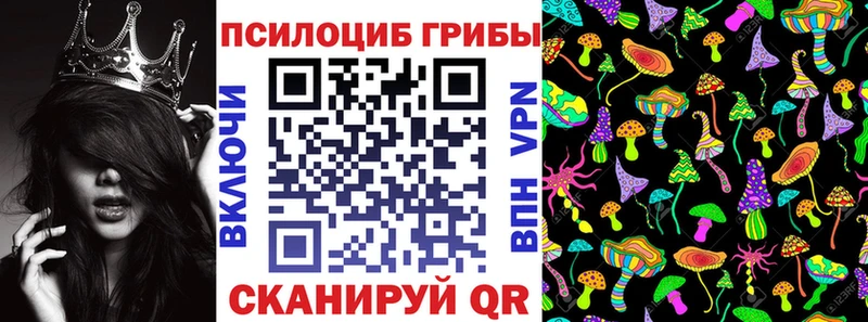 Псилоцибиновые грибы мицелий  блэк спрут сайт  дарк нет какой сайт  Красноуральск 